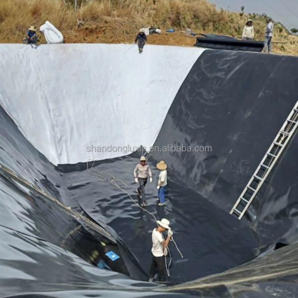 1.2mm 1.5mm HDPE Geomembrane for Pond Industrial Design Double Smooth/Double Texture