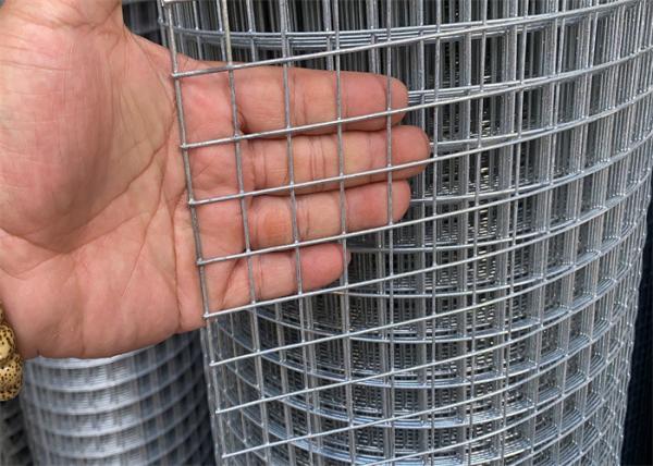 Pênis de frango galvanizados de malha de fio soldado galvanizados eletro BWG14 - BWG25 1/2 5/8