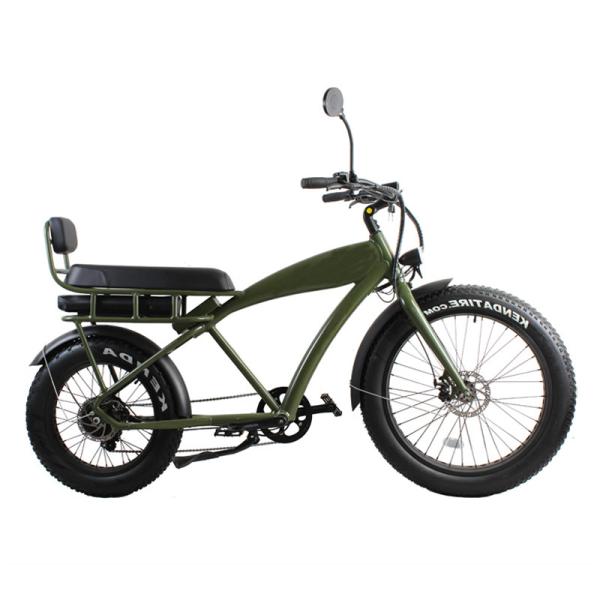 20 Inch 500w Electric Bike 8 Speed Fat Tyre Adult E Bicycle with 2 Seats and Foot Rest