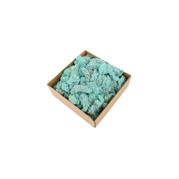 Wall Decoration Beautiful Preserved Natural Moss For Handmade Crafts