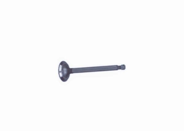 Golf Cart FE350 Exhaust Valve Golf Cart Parts G1017445 Fits For Club Car Gas DS