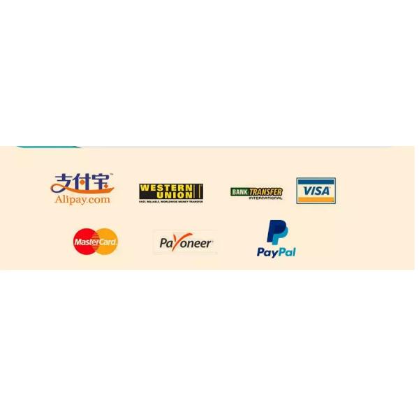 Китай -- Дверь к двери, дверь перевозки моря Нью-Йорка к интернатионал двери грузя