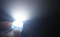 CE importado ROHS da luz do pixel do diodo emissor de luz do brilho DC12V SMD 5050 de Shell do PC