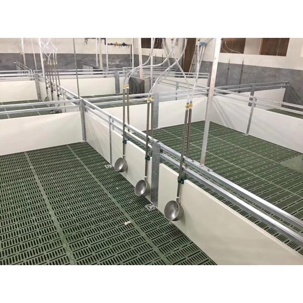 Maison de porcherie en acier Installation sur place Construction de poulailler