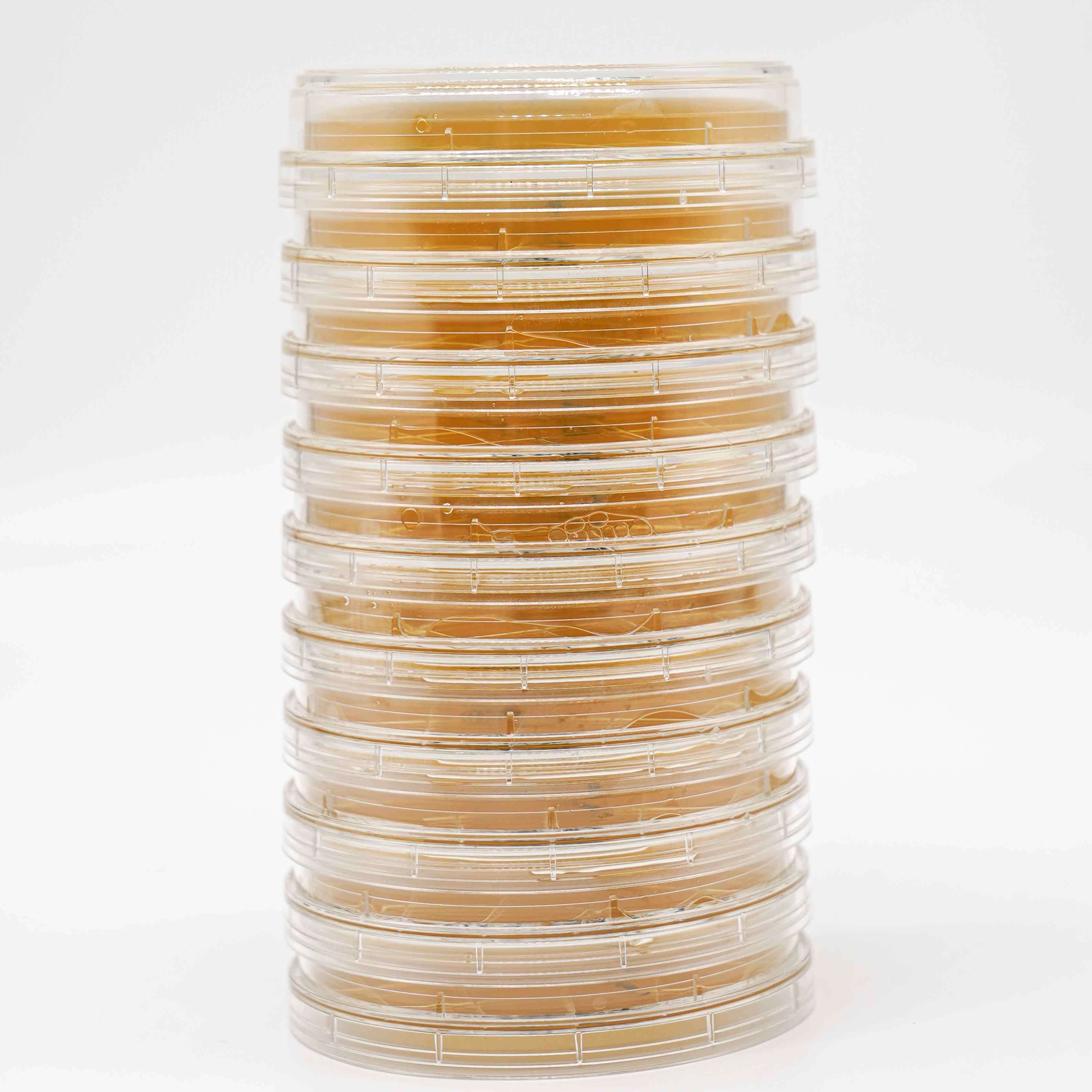 Pre Filled Tryptic Soy Agar TSAWLPHT Contact Plate For Environmental Monitoring