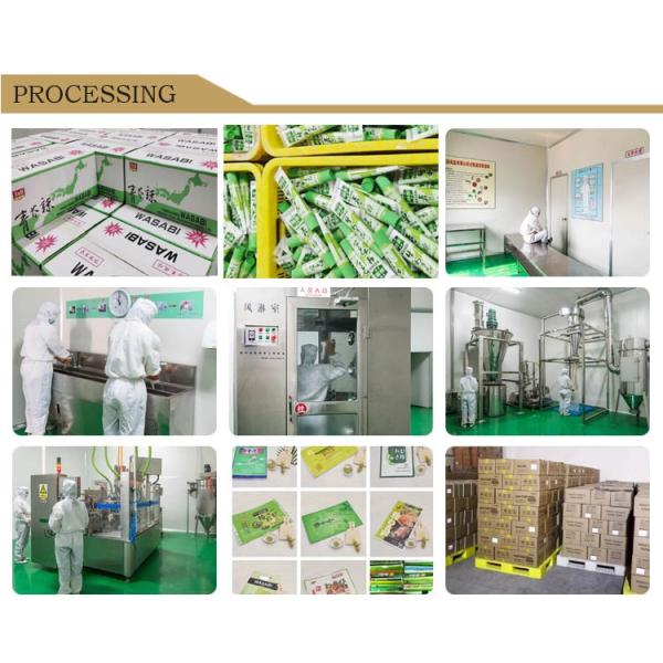 Spice Seasoning Wasabi Tube 43g Horseradish Sauce