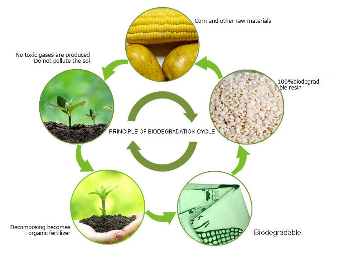 Черные отправитель майцены 100 Compostable, сумки почтового сбора 10 * 13 дюймов Biodegradable
