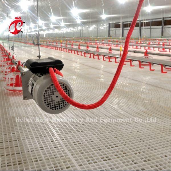 Stainless Steel Floor Type Poultry Farm Equipment Automatic Feeding And Drinking System Adela