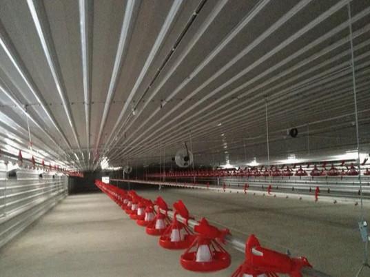 Prefabricated Steel Structure Thermostatic Hot DIP Galvanized Steel Poultry Chicken House