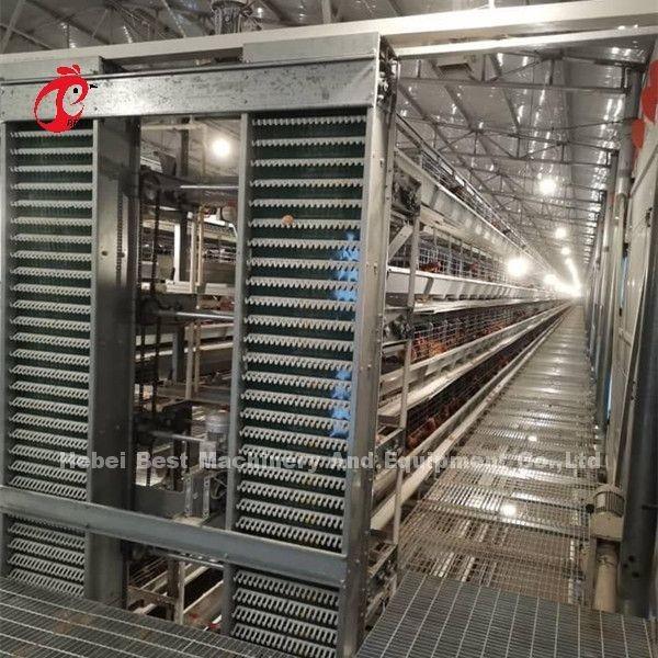 Caixa de camada galvanizada quente e profunda para 20.000 aves