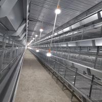 Engrais de H440mm nettoyant Q235 le bébé en acier Chick Cage 17birds pour la volaille