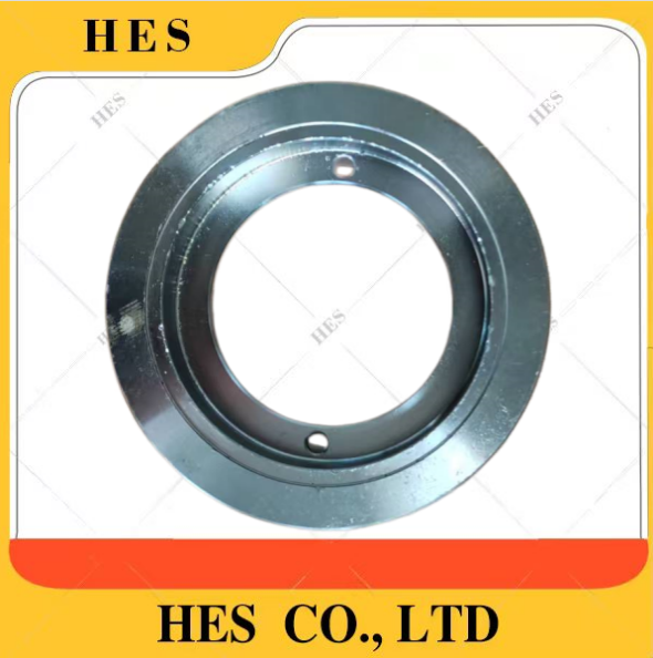 29050017481 China Truck Sealing Retainer CESDLG Spare Parts