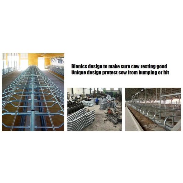 Гальванизированный амбар стойла трубы свободный