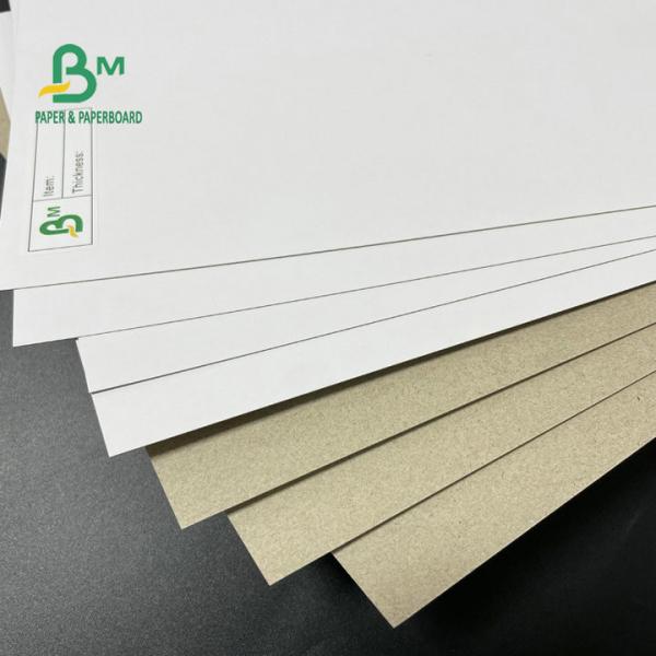 42 Inch Coated Duplex Board Grey Back 350GSM 400GSM 450GSM For Packaging Boxes