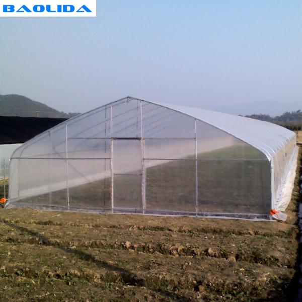 Estufa plástica do túnel poli agrícola do filme da casa verde de Singlespan Polytunnel da barraca