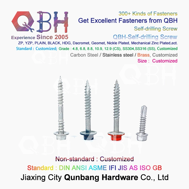 Customized Truss Wafer Head SDS Screw Qbh 304 Stainless Steel