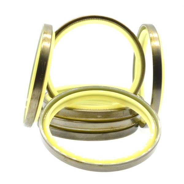 DKB DKBI DLI DKI Hydraulic Wiper Seals