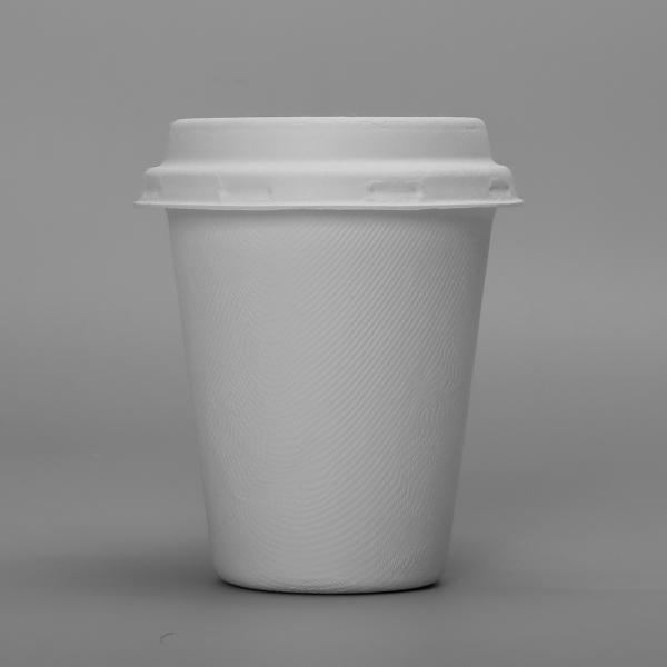 Багасса отлила чашки и крышки в форму пульпы течебезопасные 8oz 250ml Biodegradable