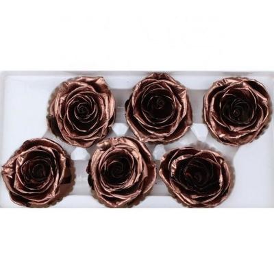 Para sempre as cabeças do ouro das rosas, preservam as cabeças de flores reais para a decoração do Natal