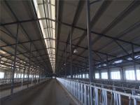 Prefabricated Insulation Steel Cowshed with Sandwich Panel