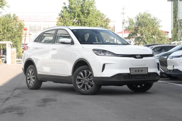 2023 Professional Popular Hot Sale Sightseeing Electric Cars Left Hand Drive VW EX5-Z new energy vehicle