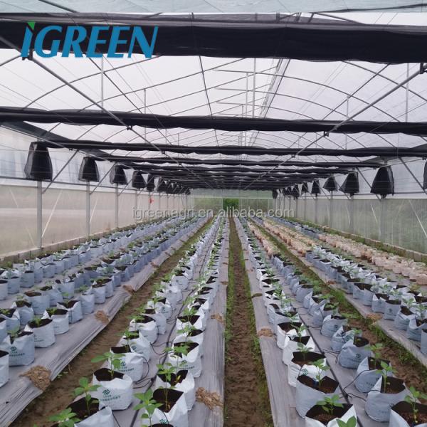 IGREEN I GAP Aquaponics Growing Systems-Complete System Hydroponics Compatible