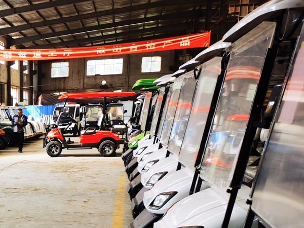 Подгонянный с тележки 48Вольт 60в 72в 30км/Х гольфа дороги НЭВ