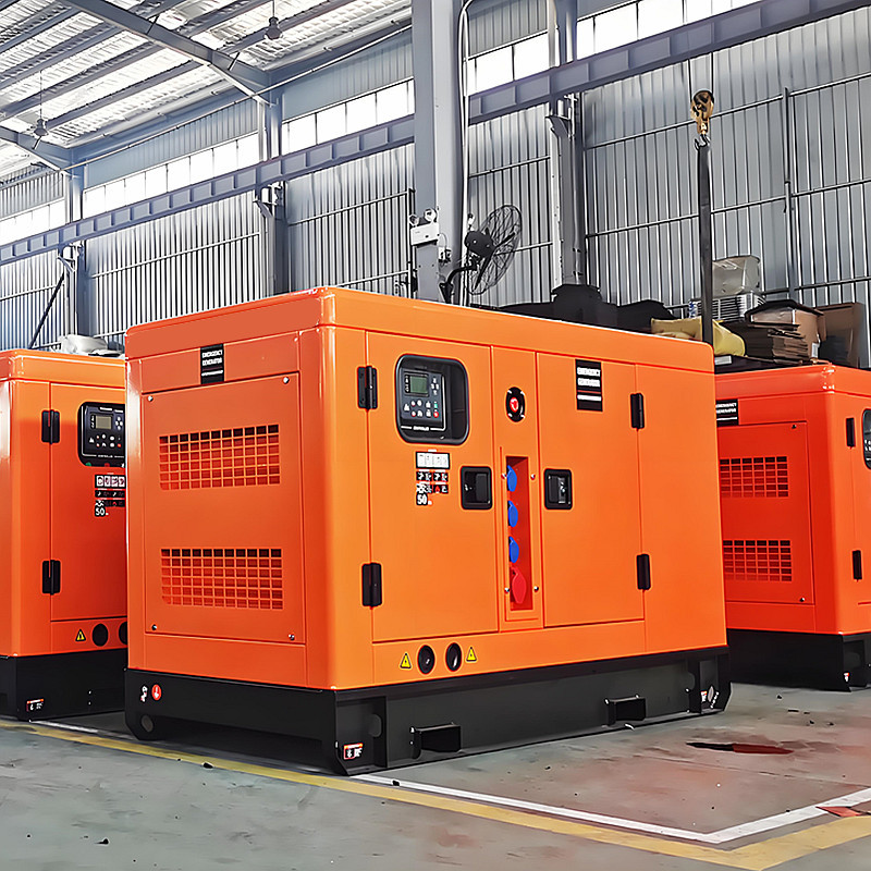 Backup Power Diesel Powered Generator Set Freezers and Coolers Running Through Outages Portable Diesel Generator