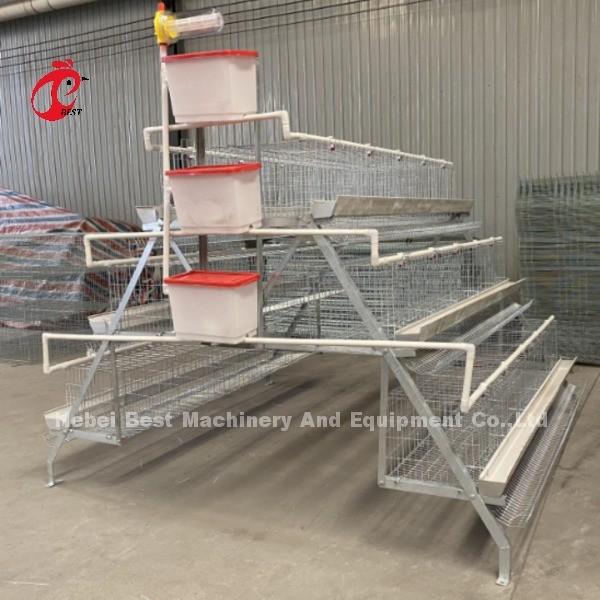 Feeding Trough Of Chicken Poultry Farming Cage System In Nigeria Ghana Zambia Cameroon Farm Doris