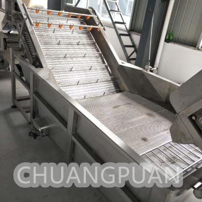 1-20T/H Fruit Pulper Automatic Stainless Steel Chain Plate Bubble Washing Machine For Fruit