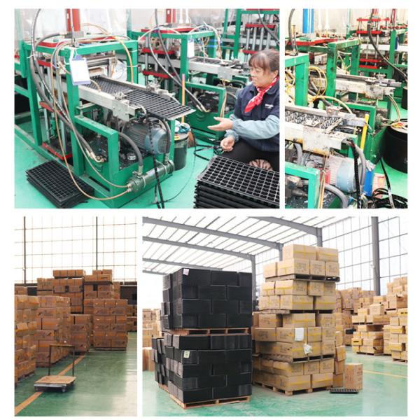 Xiamen Digeer Rubber And Plastic Co., Ltd.