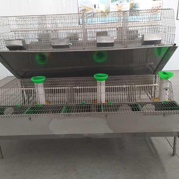 2400 * 2000 * 1500mm Farm Rabbit Cage Q235 Steel Wire / Plastic Material