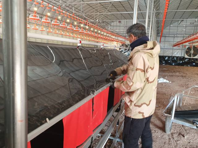 Fully Automated Chicken Hen Nesting Box Floor Raising With Low Egg Breakage Rate