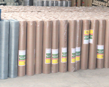 Special Manufacturing Galvanized Stainless Steel PVC Welding Mesh for Roll Width 0.5m-1.8m
