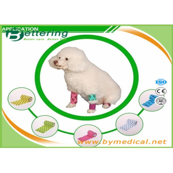 Veterinary Comfortable Cartoon Printing Elastic Self Adhesive Bandages For Animals
