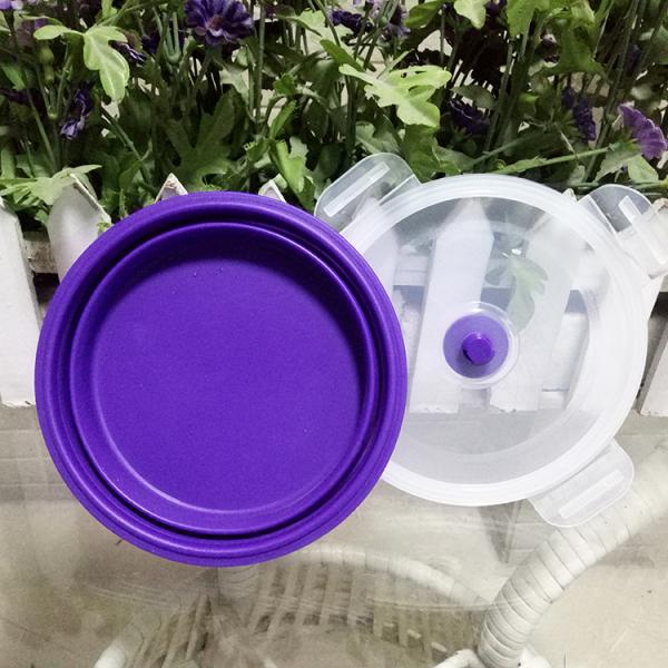 Food Lunch Silicone box plastic organizer container lunchbox food warmer meal prep containers