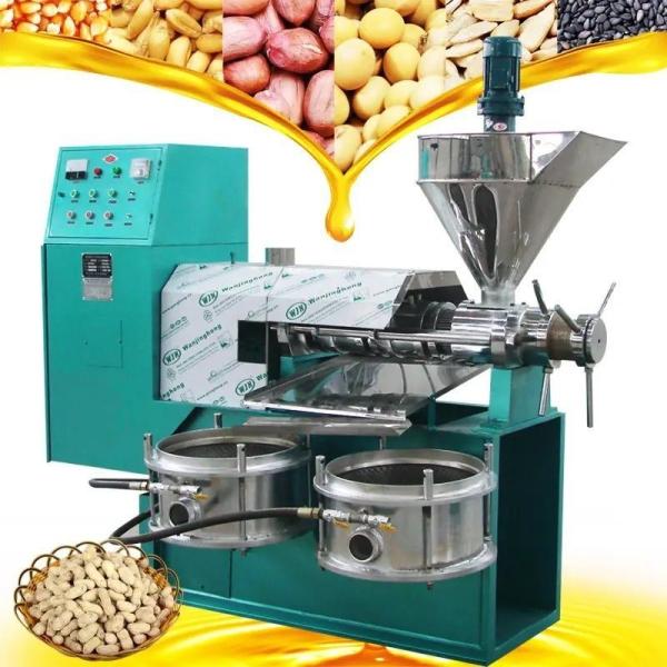 Customized Voltage Cold Press Castor Oil Extractor for 800.000kg Package Gross Weight