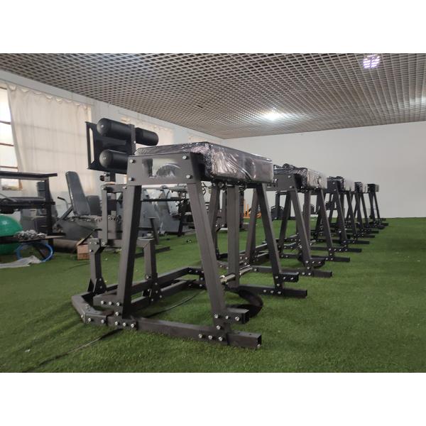 Складчивый GHD Bench Glute Ham Developer для взрослого оборудования для обучения источнику питания
