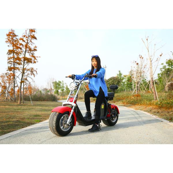 Brushless Controller Electric Two Wheel Waterproof Scooter E Mobility Scooters Made