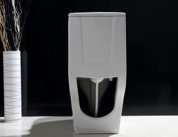 Dual-Flush Single Piece Toilet with Scratch Resistant Glaze