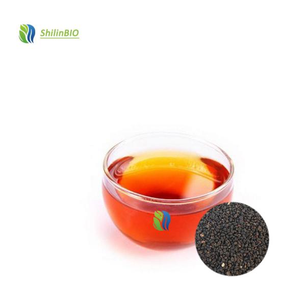 Wholesale Bakuchiol Extract Cas 10309-37-2 Cosmetic Grade Bakuchiol Powder 98% 99% Pure Bakuchiol Oil