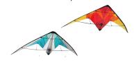 Double ligne d'OEM 170*70cm cerf-volant de cascade de delta de sports avec le matériel nomade tissé