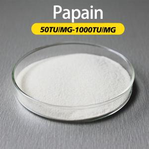 50TU/MG-1000TU/MG Poudre d'enzyme papaïne Proveur de préparation d'enzyme prot