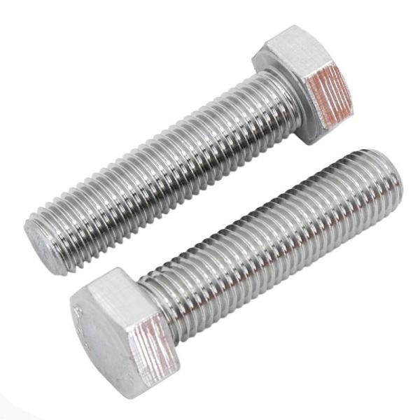 Stainless steel hexagonal bolt