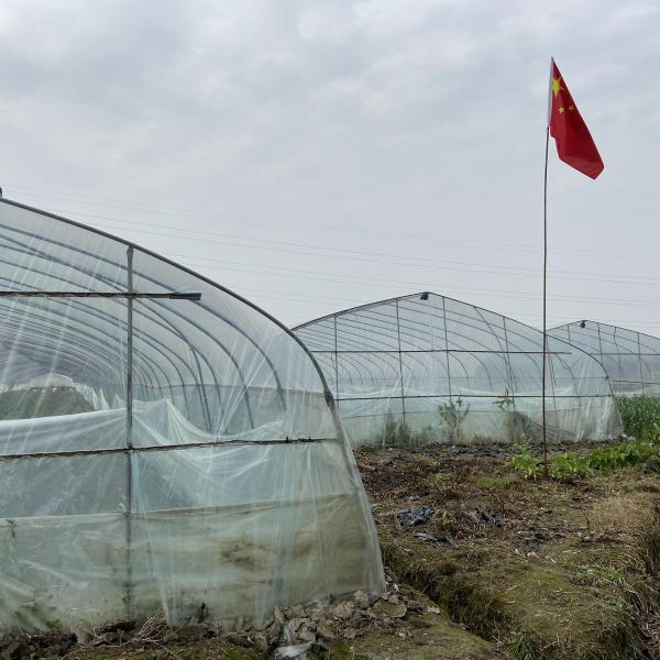 Клубника растя парник аграрного одиночного тоннеля пяди 2m пластиковый