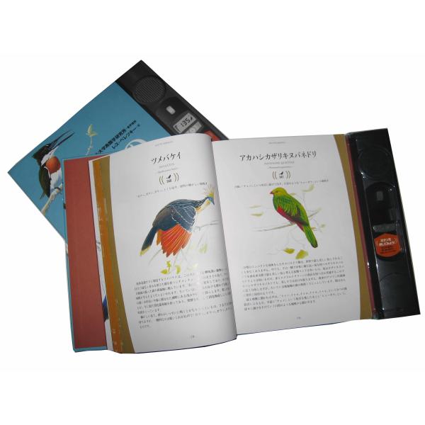 200pp Custom Book Offset Printing Services Hardcover Magazine Catalogue Matte Lamination