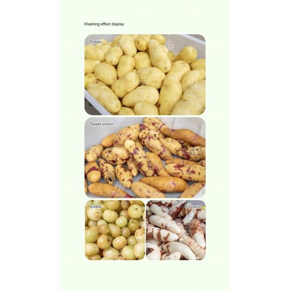 Машина шелушения картошки машины очищать щетки чистки щетки моркови 250KG 380V и машины шелушения