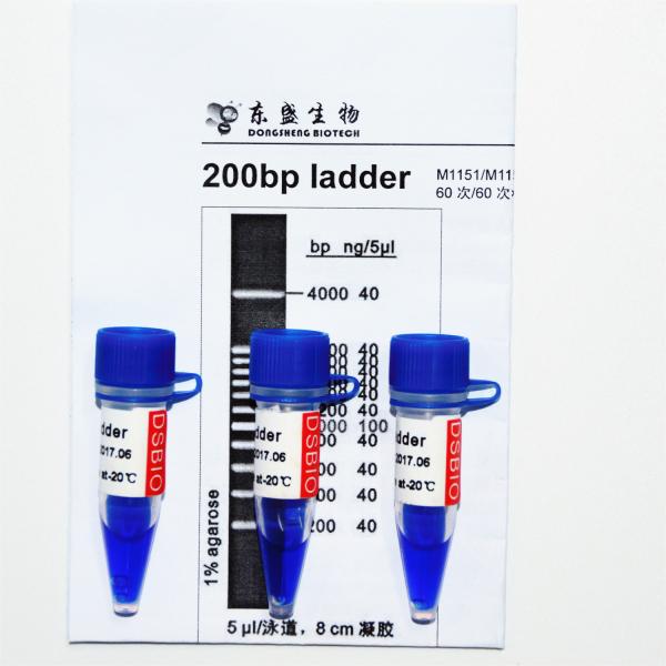 marcador M1151 do ADN da escada 200bp (50μg) /M1152 (5×50μg)