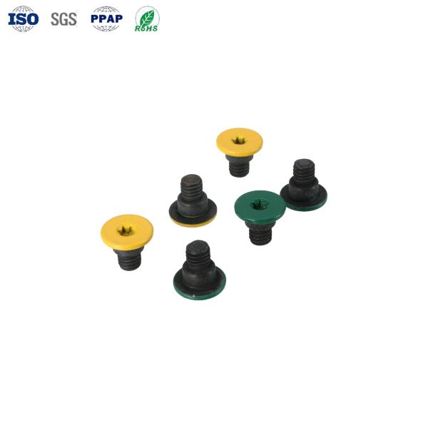 Acero galvanizado de carbono, tornillos de paso de cabeza plana M0.6mm-M36mm Revestimiento personalizado