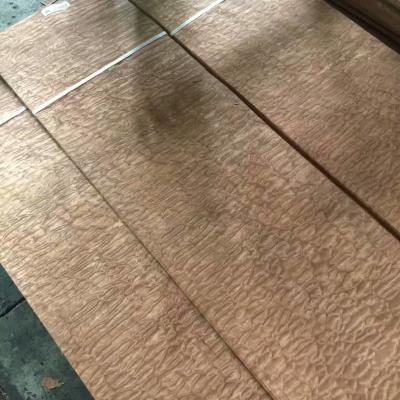 0.6mm Natural Sapeli Sapele Pommele Sliced Wood Veneer for Furniture Plywood Architectural Woodwork and Interior Decor